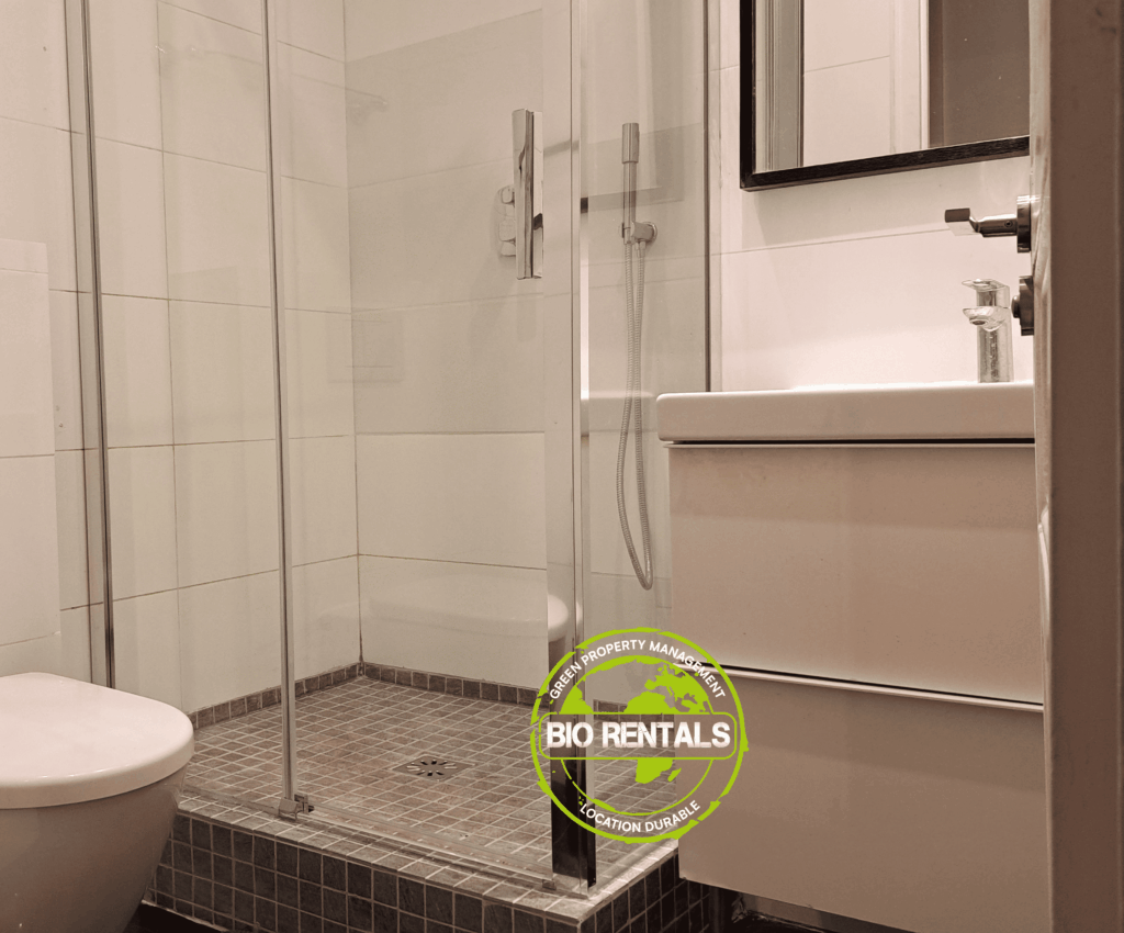 rentals-paris-shower-room